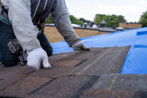 Best Roofing Contractor Near Me  in Eudora, KS