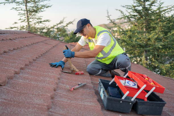 Best Affordable Roof Replacement  in Eudora, KS
